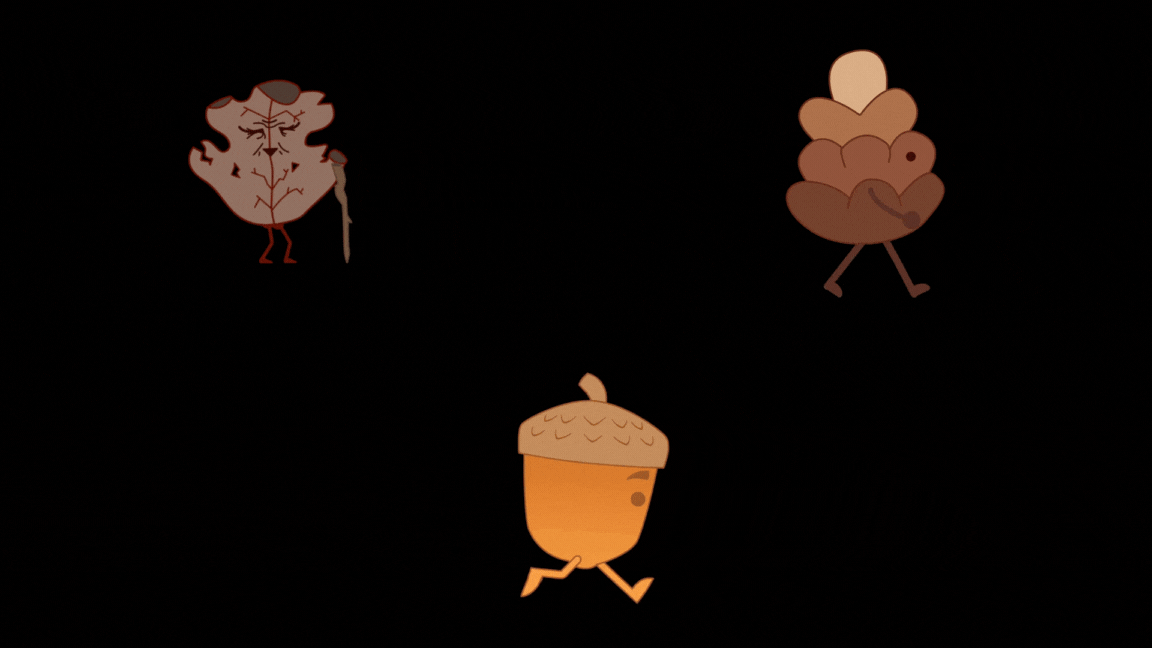 Proyecto 1 - Imagen 3